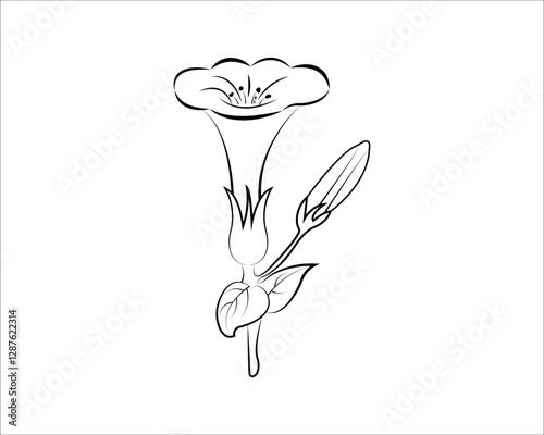 Vector tropical flowers. Floral botanical flower. Isolated illustration element. Vector wildflower for background, texture, wrapper pattern, frame, or border.