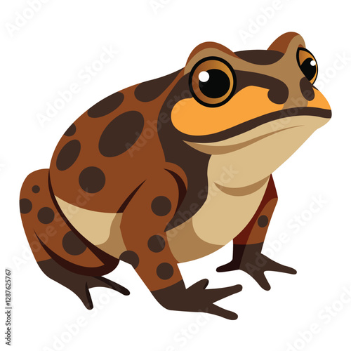 Close-up of African Tree Toad Displayed on White