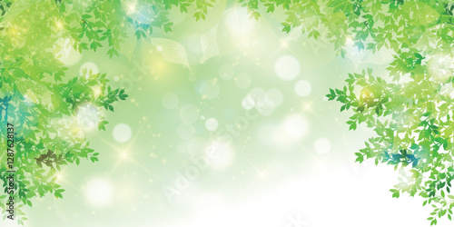 新緑　葉　風景　背景