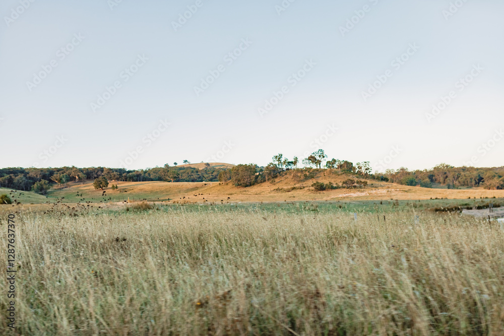 Soft blue sky over rural Australian landscape with gentle hills Soft blue sky over rural Australian landscape with gentle hills