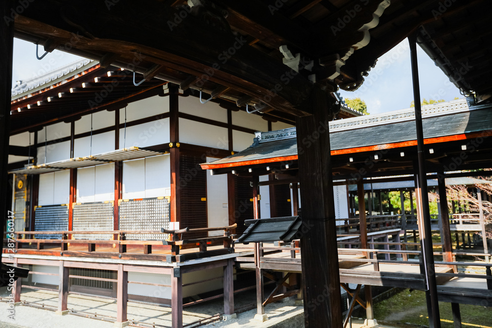 Fototapeta premium japanese temple in japan