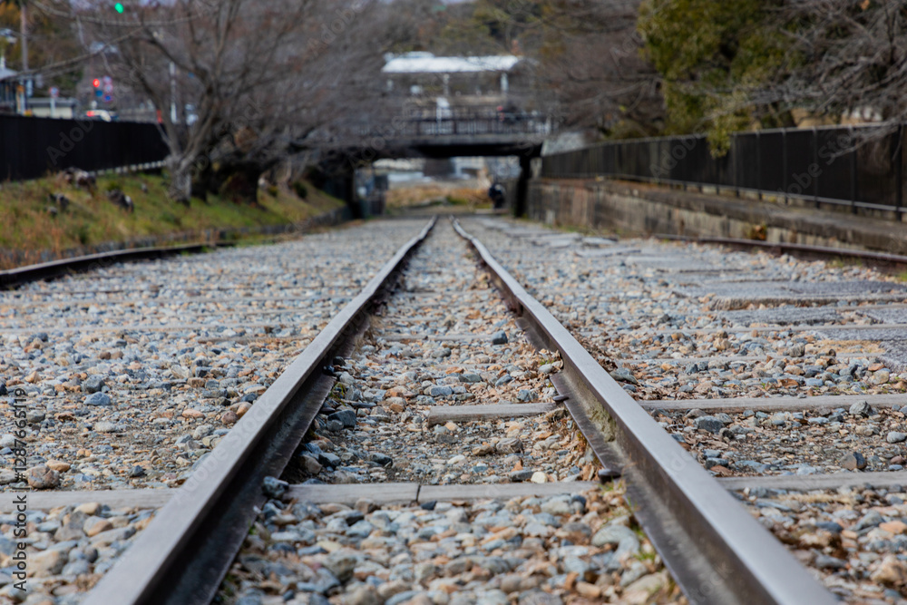 Fototapeta premium railroad tracks in the countryside