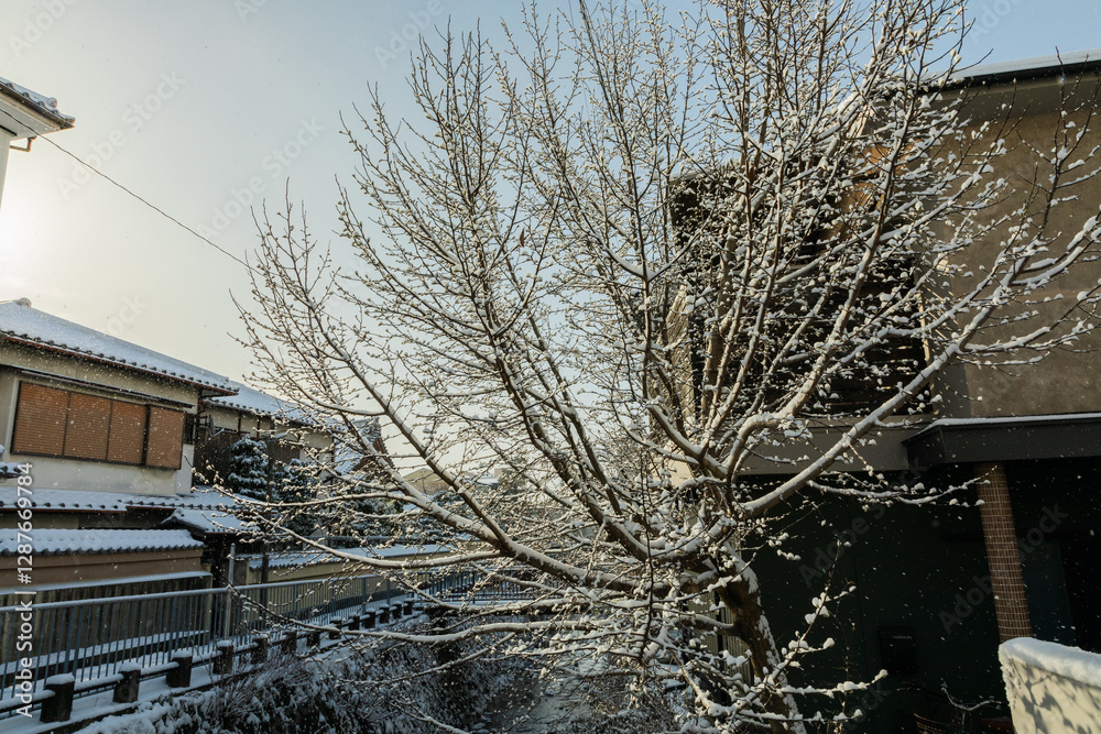 A snowy street. A snowy street.
