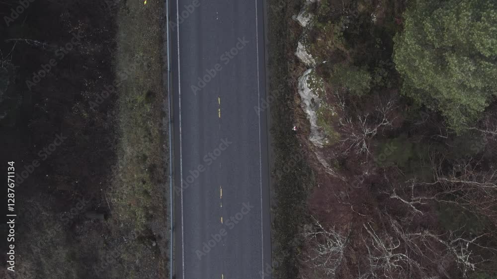 Top-down aerial view of a straight, quiet, rural road cutting through a natural landscape Top-down aerial view of a straight, quiet, rural road cutting through a natural landscape