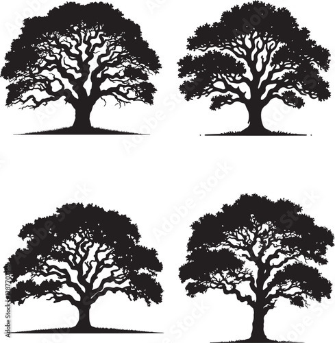 Texas Madrone Tree Silhouette Collection - Four Unique Variations