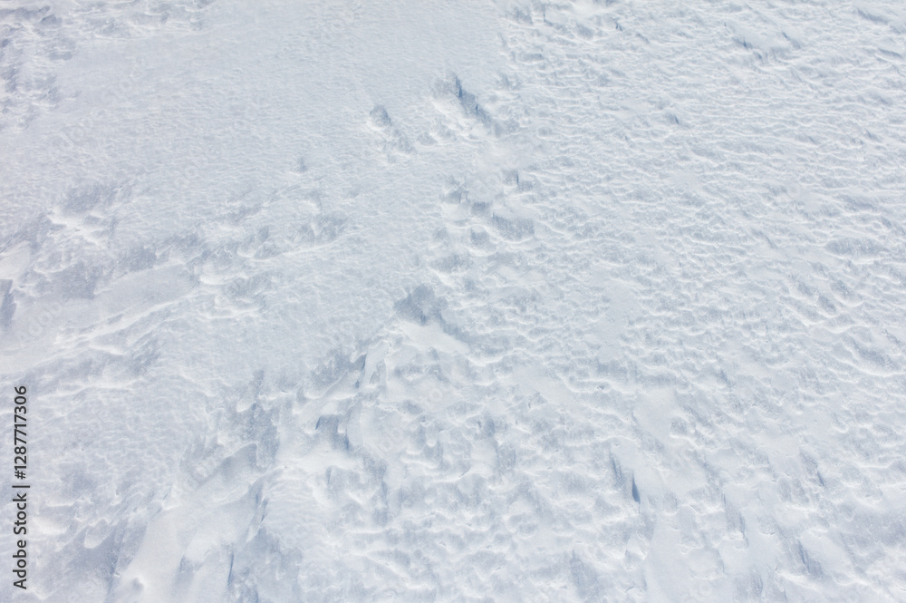 A snow covered ground with a few footprints A snow covered ground with a few footprints