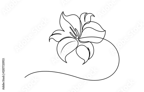 lily flower in full bloom continuous one line drawing