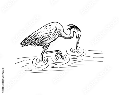 Cartoon vector line drawing of a long-legged bird wading in water.