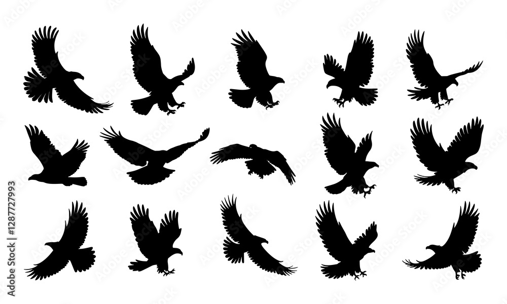 Fototapeta premium eagle silhouette, fliying bird silhouette