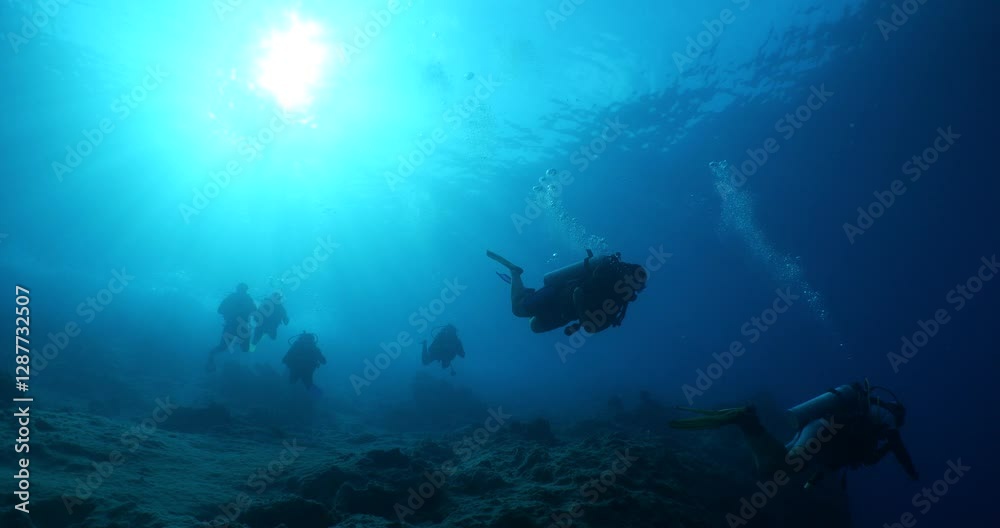 silhouette scuba divers sun beam shine rays underwater lady woman diver relaxing blue ocean scenery of people silhouette scuba divers sun beam shine rays underwater lady woman diver relaxing blue ocean scenery of people