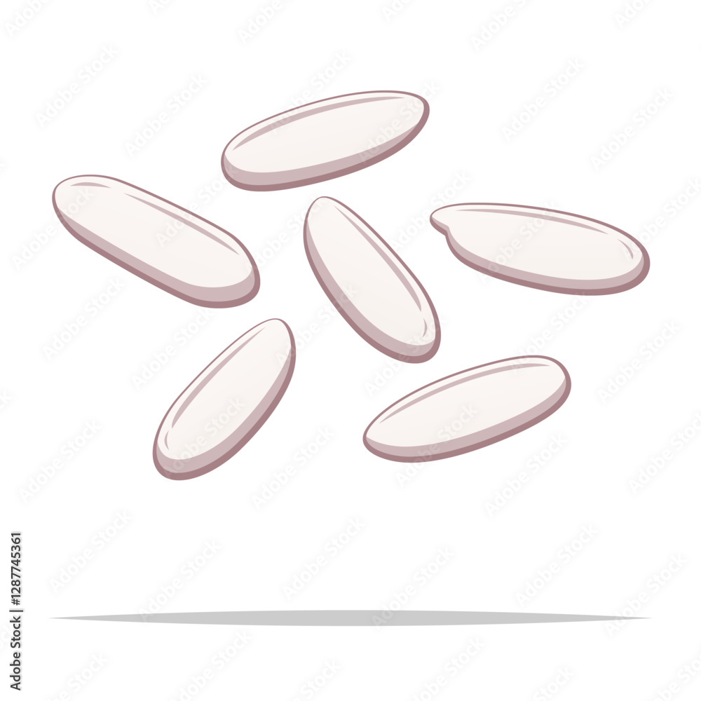 White rice grain vector isolated illustration White rice grain vector isolated illustration