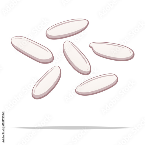 White rice grain vector isolated illustration