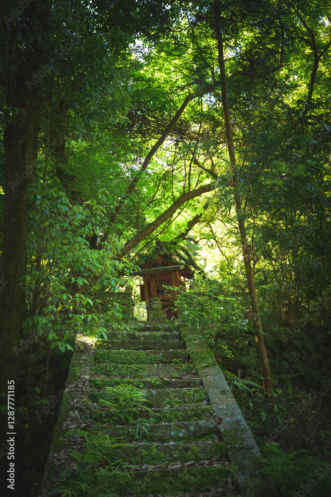 old Japanese small abandon shinto shrine with green forest
old Japanese small abandon shinto shrine with green forest