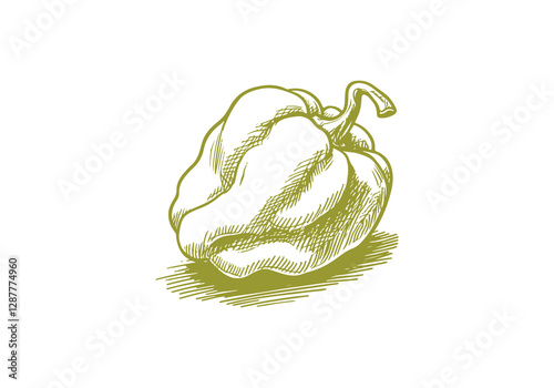Habanero Hand Drawn Illustration Sketch Vector Isolated