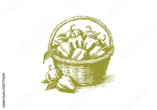 Habanero Hand Drawn Illustration Sketch Vector Isolated