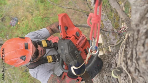 Wallpaper Mural Rope access technician hoisting a chainsaw by a rope Torontodigital.ca