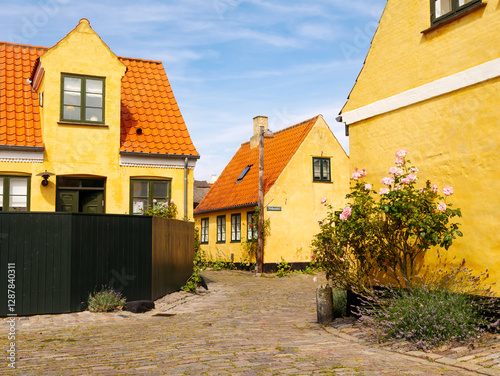 Dragor Old Town with narrow cobblestone streets and historic yellow houses with red-tiled roofs, Amager Island, Capital Region, Denmark photo
