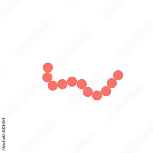 streptococcus pyogenes