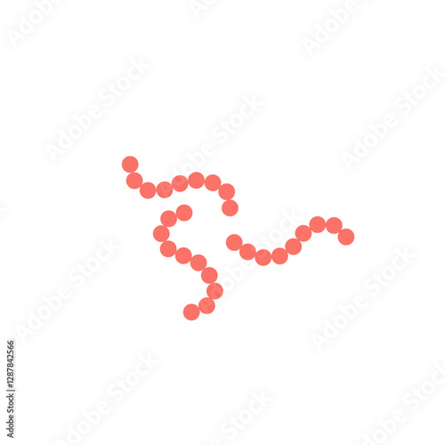 streptococcus pyogenes
