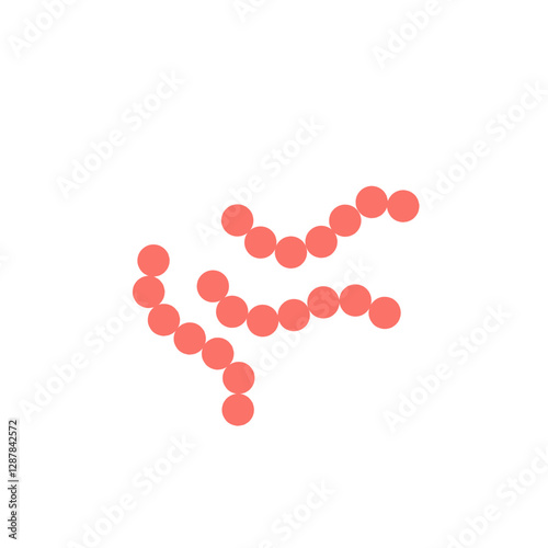 streptococcus pyogenes