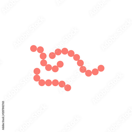 streptococcus pyogenes