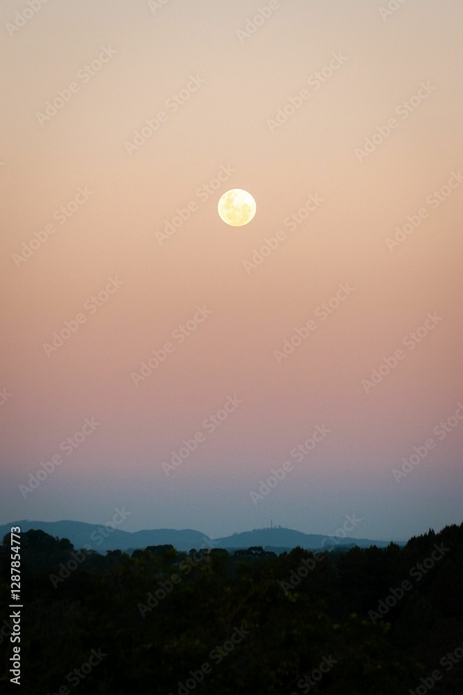 Full Moon Over Forest at Sunset Full Moon Over Forest at Sunset