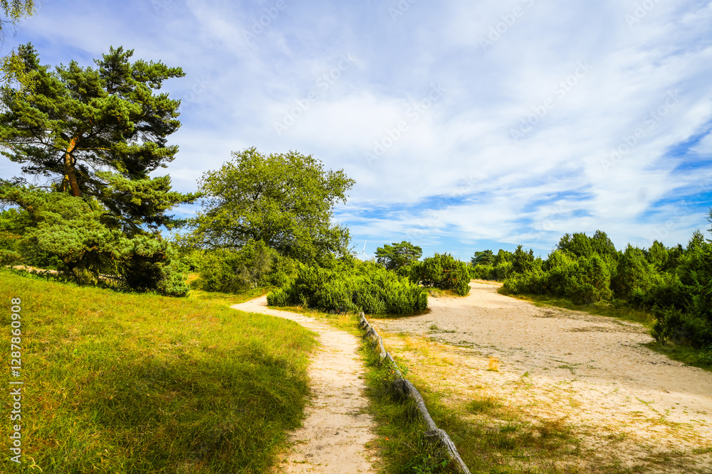 View of the landscape of the Westruper Heide. Nature reserve with heathland near Haltern am See in the Westrup district.
View of the landscape of the Westruper Heide. Nature reserve with heathland near Haltern am See in the Westrup district.
