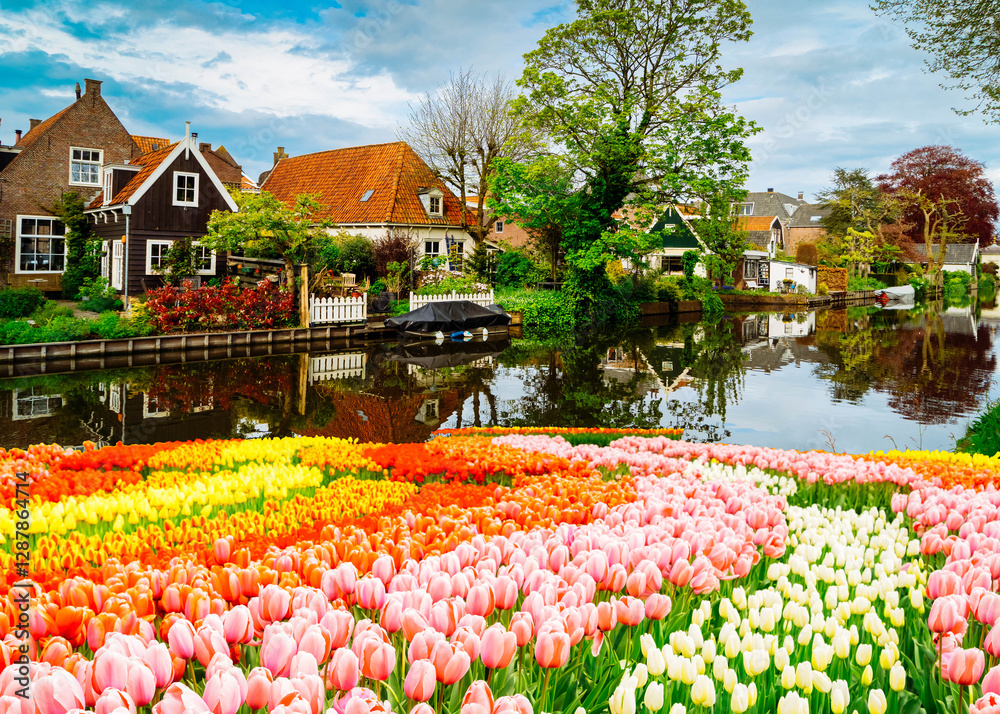 Fototapeta premium rural dutch traditional country small old town Edam, Netherlands