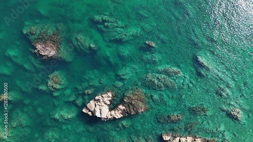 a sea of jade