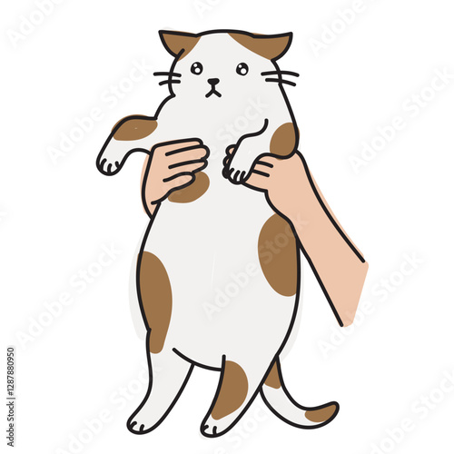 The cat is being carried