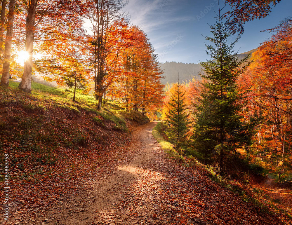 Obraz premium Generated image 秋のハイキングコース