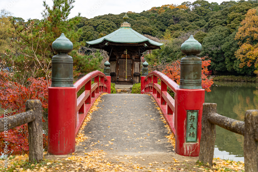 定光寺公園 紅葉