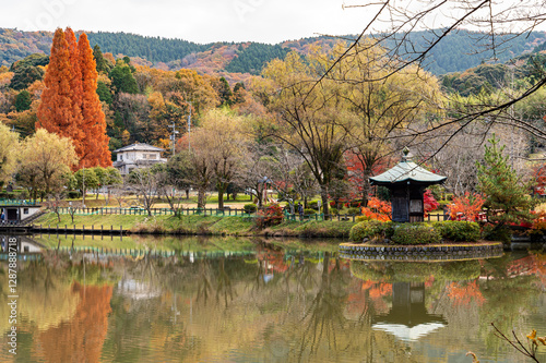 定光寺公園 紅葉 photo