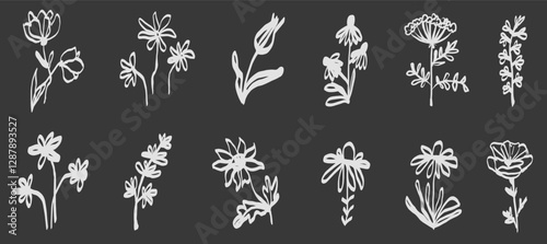 Ink marker gouache flowers hand drawn sketches illustrations. Dry brush stroke simple minimalistic floral doodles isolated on white for cosmetics, kid education.