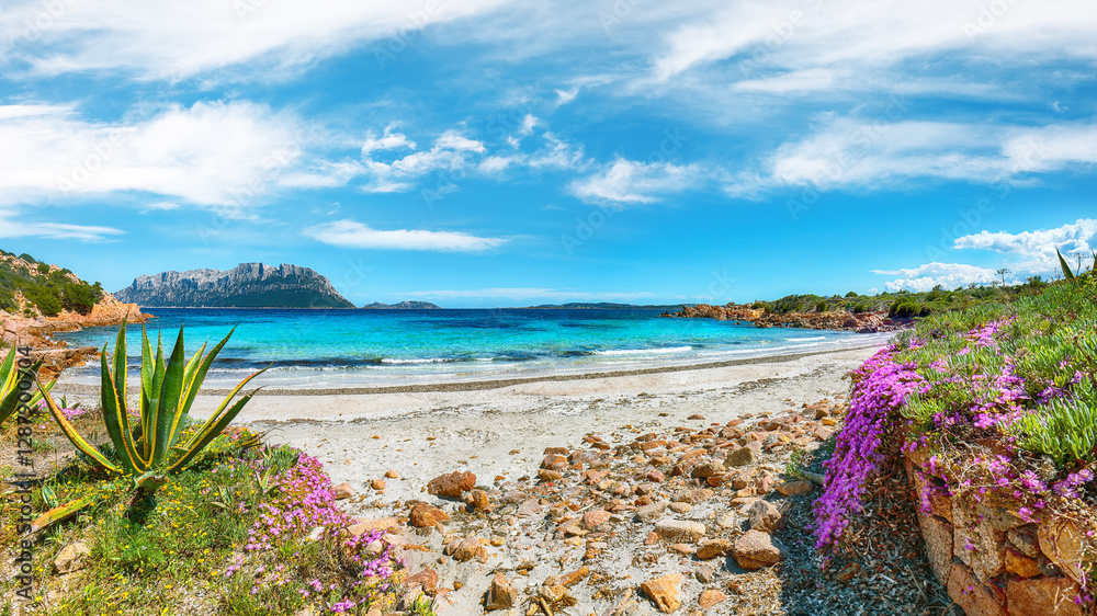 Superb azure water with rocks and lots of flowers at Doctors beach (Spiaggia del Dottore) near Porto Istana.