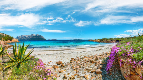 Obraz na płótnie Superb azure water with rocks and lots of flowers at Doctors beach (Spiaggia del Dottore) near Porto Istana. w salonie