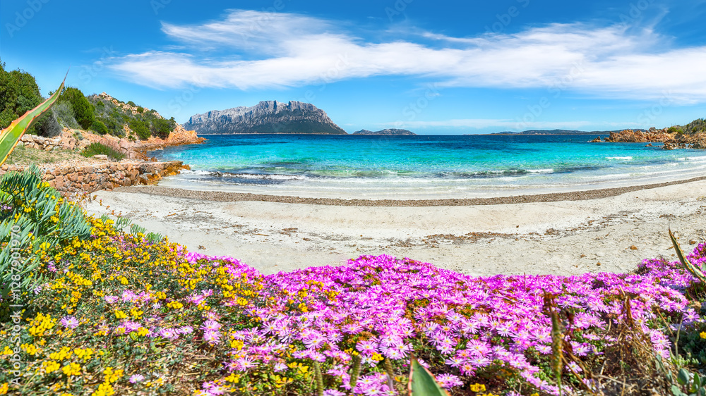 Superb azure water with rocks and lots of flowers at Doctors beach (Spiaggia del Dottore) near Porto Istana.
