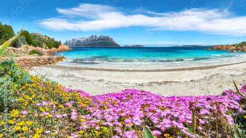 Obraz na płótnie Superb azure water with rocks and lots of flowers at Doctors beach (Spiaggia del Dottore) near Porto Istana. w salonie