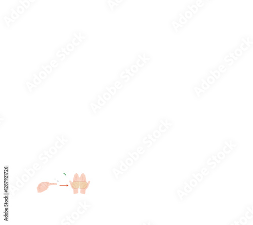1フィンガーチップユニットの薬剤を手のひら2枚分に塗ることを示すイラスト