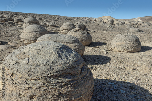 Bulbusim under the blue sky