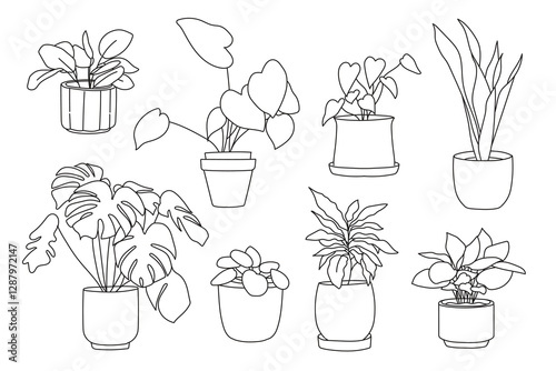 Set of plant in pot hand drawn vector illustrations house plant, home decoration