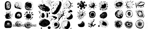 Modern unicellular organisms, including protista, protozoa, or amoeba microorganisms, comprise ameba cells and exhibit complex structures under a lab microscope