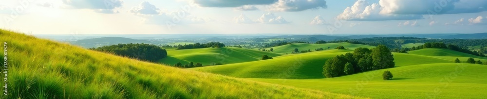 Rolling hills and meadows in the Mangfallgebirge region, nature, fields, rolling hills