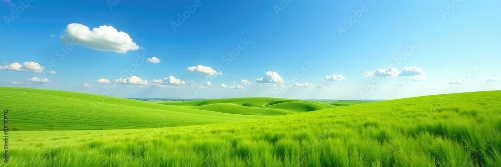 Rolling hills with green field and blue sky in Kansas landscape, wheat, sky, nature Rolling hills with green field and blue sky in Kansas landscape, wheat, sky, nature