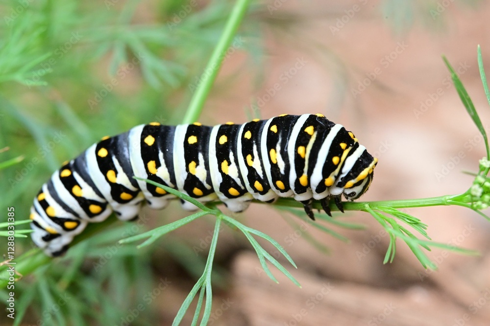 Naklejka premium Vibrant caterpillar on a green plant