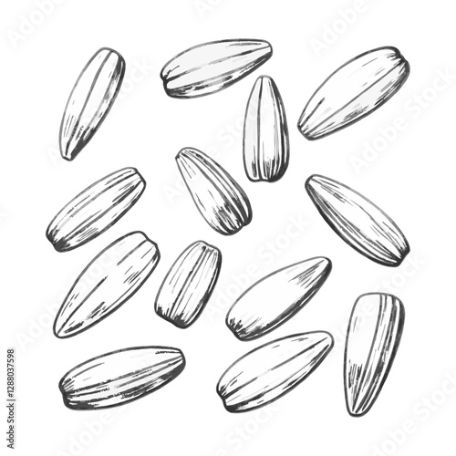 Hand-drawn sketch of rice stalks in a detailed line art style. Perfect for agricultural, food-related designs, packaging, labels, and nature-inspired projects.