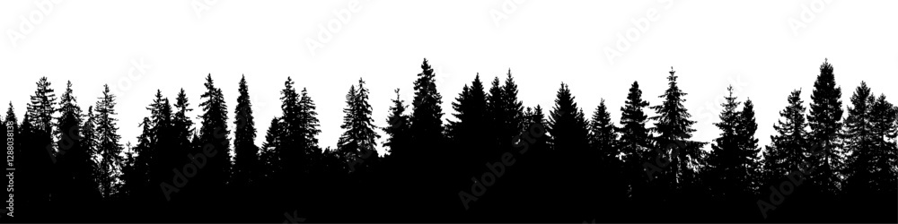 Fototapeta premium Forest background, pine silhouette banner fir tree landscape
