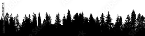 Forest background, pine silhouette banner fir tree landscape