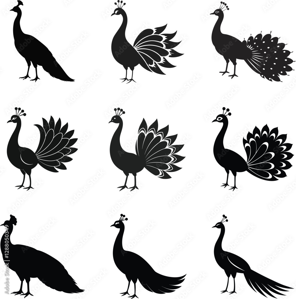 Naklejka premium set of black silhouette peacock on white background