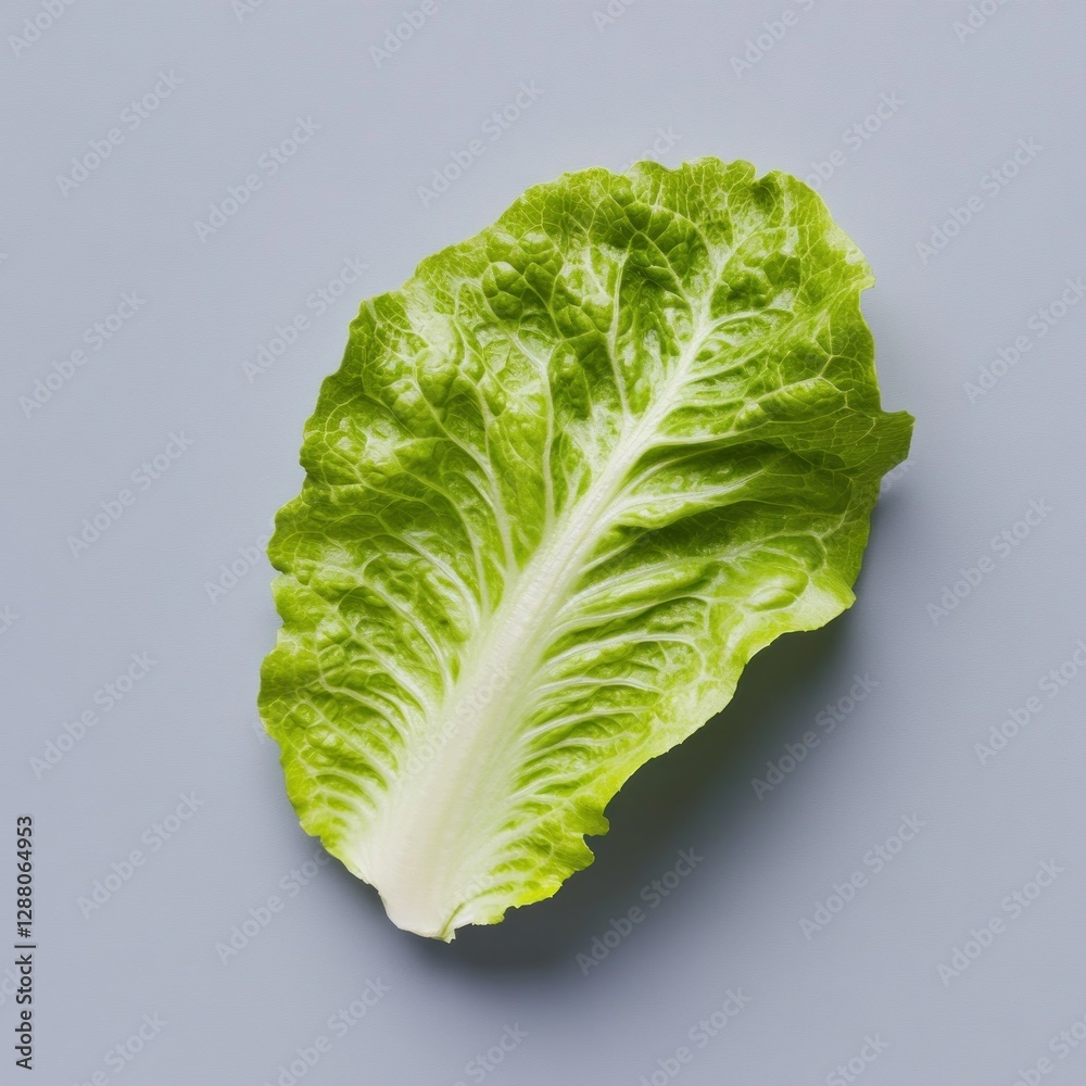 Fresh lettuce leaf on gray background Fresh lettuce leaf on gray background